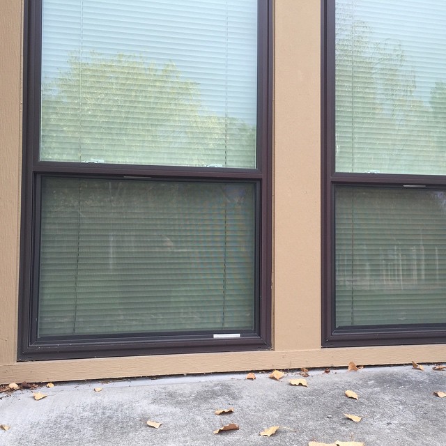 Replaced by Bay Area Window Pros