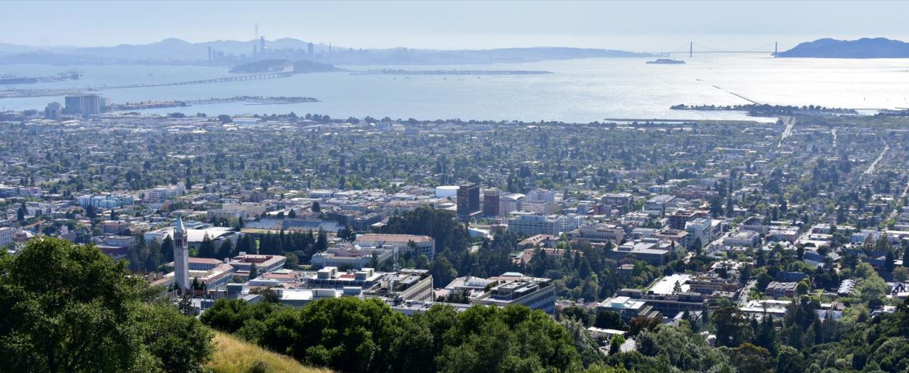 Window replacement in Berkeley