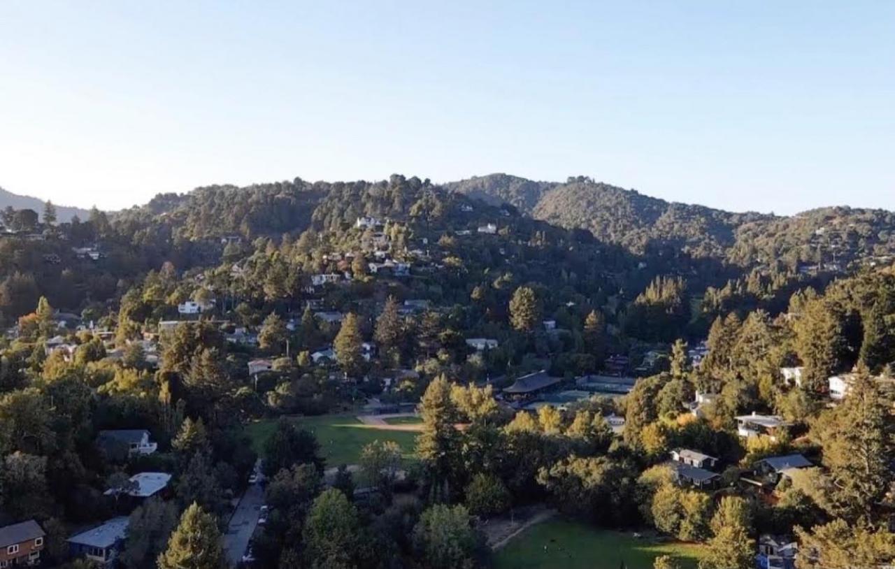 Window replacement in Mill Valley, California — Mill Valley