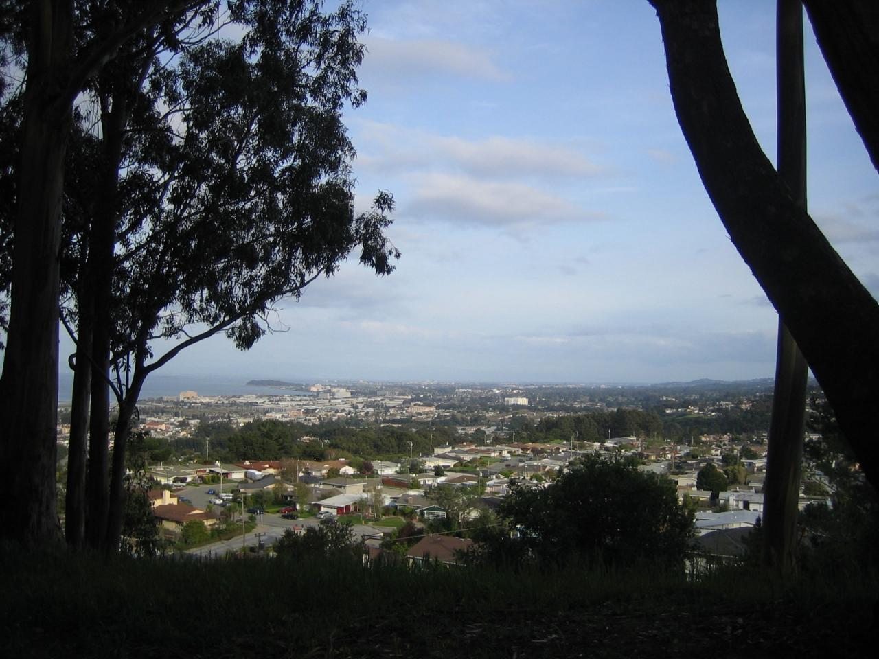 Window replacement in Millbrae, California — Millbrae